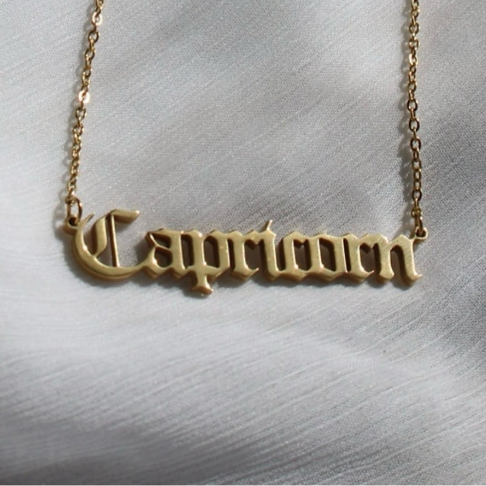 Capricorn Stainless Steel Gold Tone Zodiac Sign Necklace